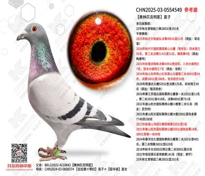 ����ƥ������ֱ��