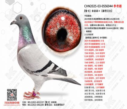 ³���׵ܵܡ���ѩ����