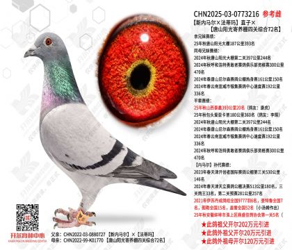 �����������������ꡱֱ�ӡ���ɽ����������Ĺ��ۺ�72��