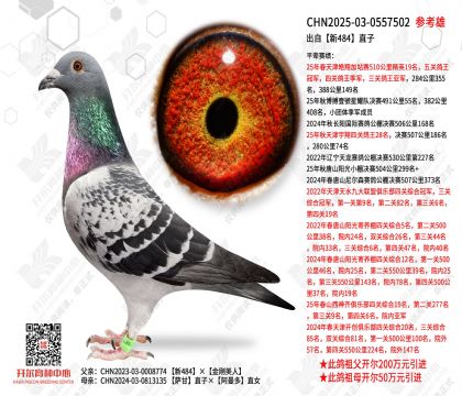 ������484ֱ��