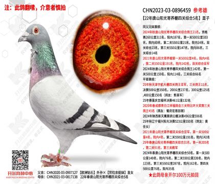 22����ɽ����������Ĺ��ۺ�5��ֱ��