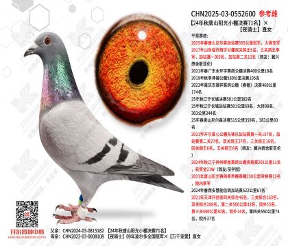 24������ɽ����С�����71����ҹ��ʿֱŮ