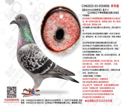 �����4103�𼾾�ֱ�ӡ�23�����������ݻԻ;���139��