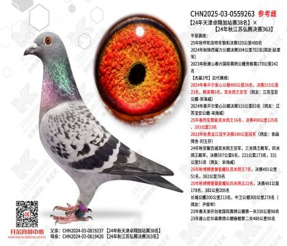 24�����׿���վ��38����24���ｭ�պ��ھ���363