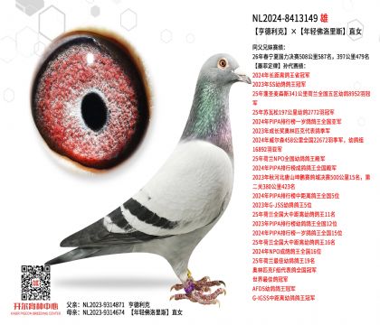 2����24-8413149