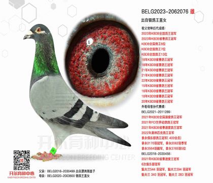 2����BELG2023-2062076