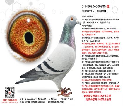 2����CHN2020-000999