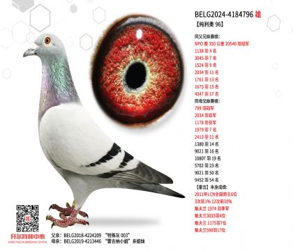 2����BELG2024-4184796