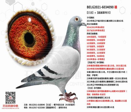 2����-6034090