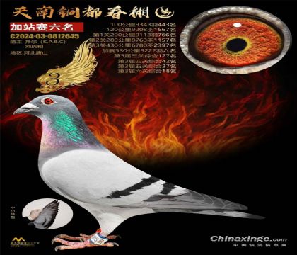 2����-0812645