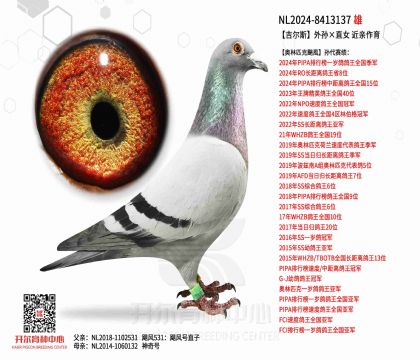 2����NL2024-8413137