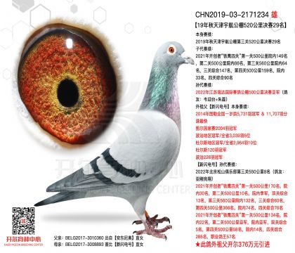 2����19-2171234