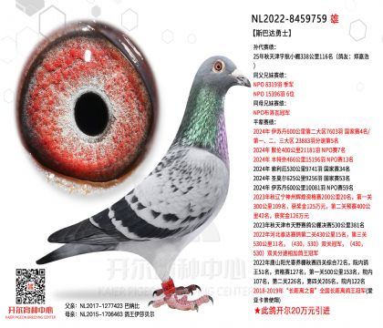 2����NL2022-8459759