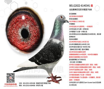 2����BELG2022-6140341