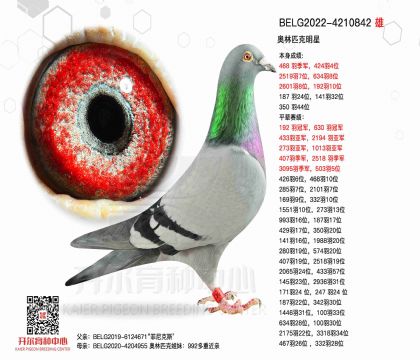 2����BELG2022-4210842