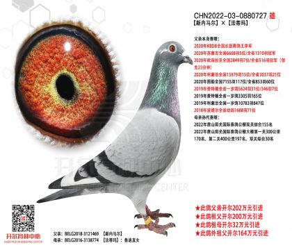 2����-0880727