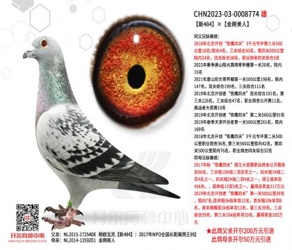 2����-0008774