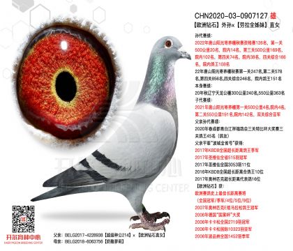 2����-0907127