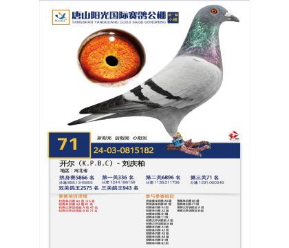 2����24-0815182