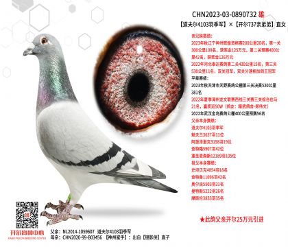 2����23-0890732