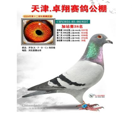 2����-0819237