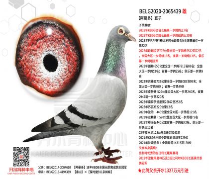 3���游20-2065439