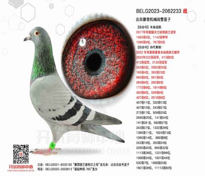3ĸ��BELG2023-2062233