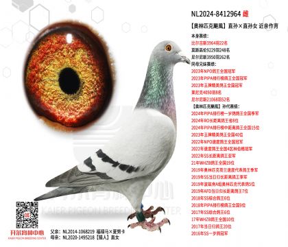 3ĸ��NL2024-8412964