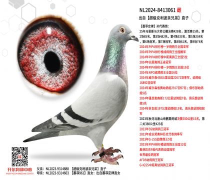 3ĸ��NL2024-8413061