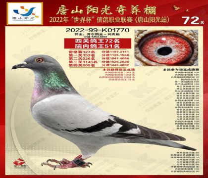 3ĸ��CHN2022-99-K01770