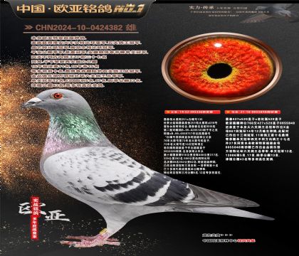 ղɭ251ֱ��326X766ֱŮ848