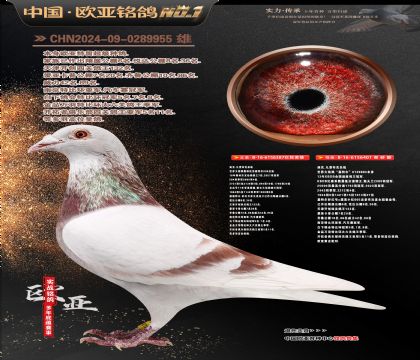 �Ͽ˷��ǲ���ԭ��387X401���ض�