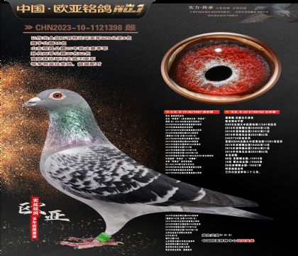 �Ƕ���˹����ԭ��987X��˹��ԭ��760