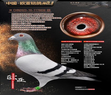 ���������ֹ�614Xɣ��ʿ061�ƽ����