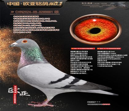 ���Ҽ������������358X501ֱŮ999