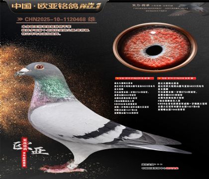 �Ǳ�ԭ��ʼһ�ֱ��329X�ʼһ�ֱŮ358����