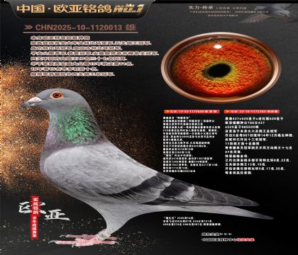 ղɭ���659Xղɭ766ֱŮ765