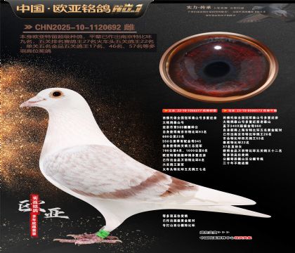 ��������ȫ���ھ�̩ɽ�Ŷ��ؽ���317X573