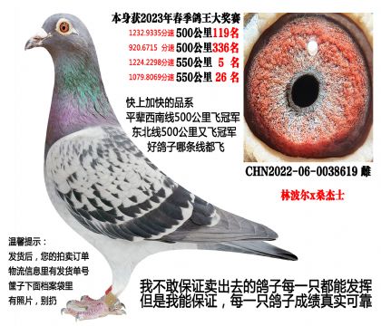 (本期重点)4次500公里,550公里5名(林波尔x桑杰士)