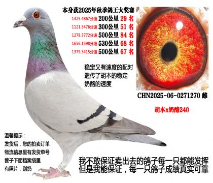 25年秋季,5次前百名(胡本x奶酪240)