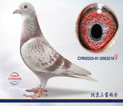 12.����396��Ѫq.2003216