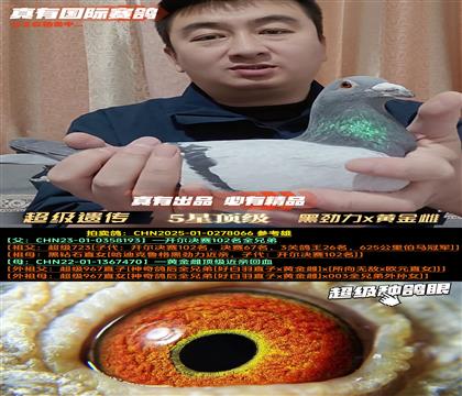 �������Ŵ�������ר��x�ƽ�ƽ���