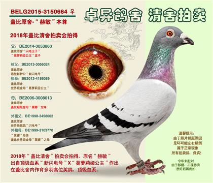 �Ǳ�ԭ��-��ĸ������������