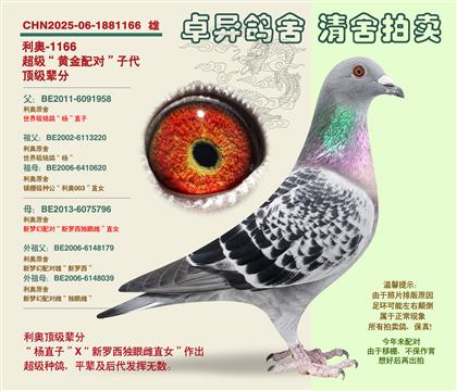 ���¡�����-�ƽ���ԡ��Ӵ�