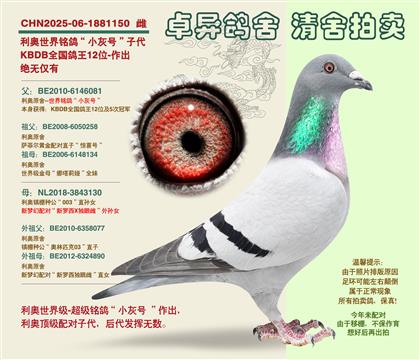 �����������롰С�Һš��Ӵ�