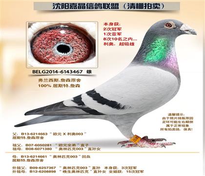 ��˹��.ղɭ-��2�ιھ���