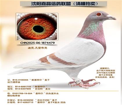 ���ǲ��ˡ��»��ض���ֱ��Ů