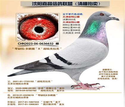 ���ǡ�������X��ȱ�ݡ�����