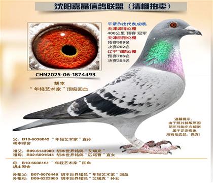 ���������������ҡ�������Ѫ