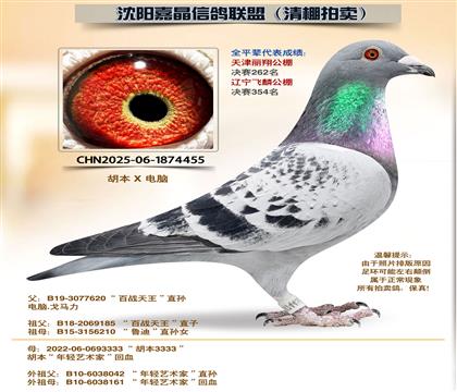 �������������29����ȫƽ��